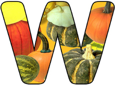 Herbstbuchstabe-8-W.jpg